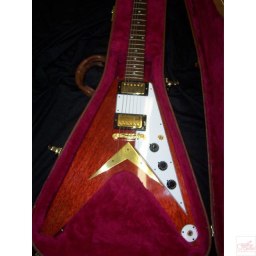 Splitstock Gibson Flying V