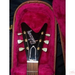 Splitstock Gibson Flying V