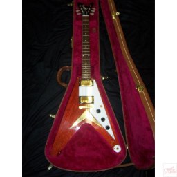 Splitstock Gibson
                  Flying V